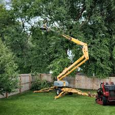 Best Fruit Tree Pruning  in Gosnell, AR